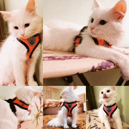 Comfy Mesh Pet Harness