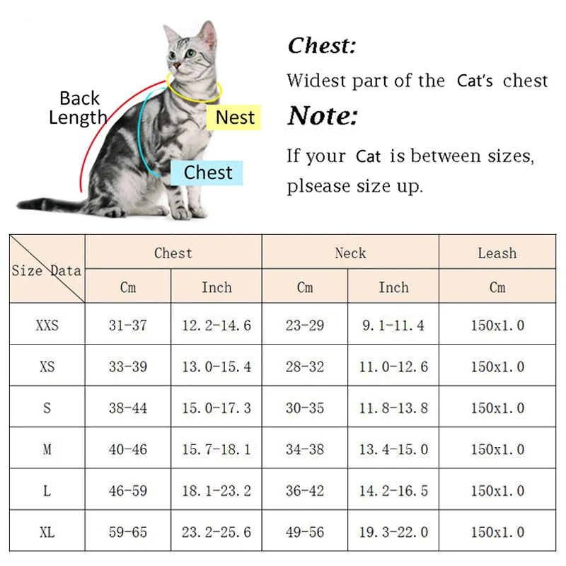 Warm Pet Vest Set
