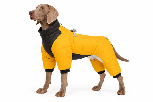 Waterproof Dog Jumpsuit Coat Winter