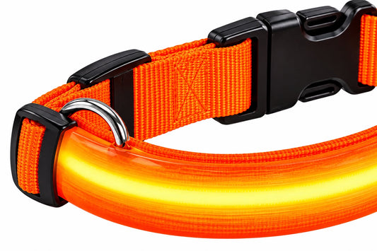 LED Night Safety Dog Leash