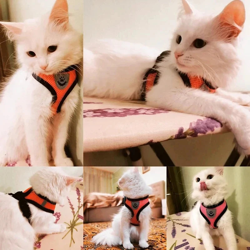 Comfy Mesh Pet Harness