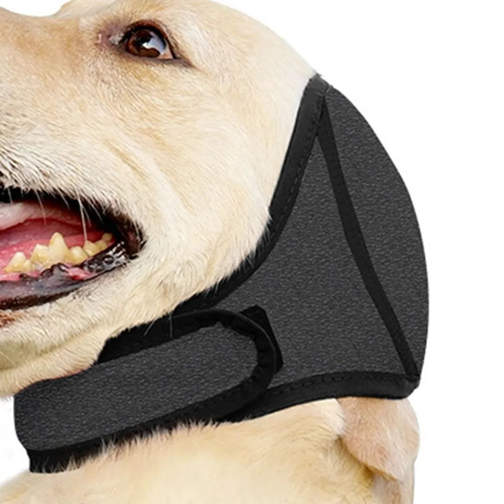 Hörschutz für Hunde, wasserdicht