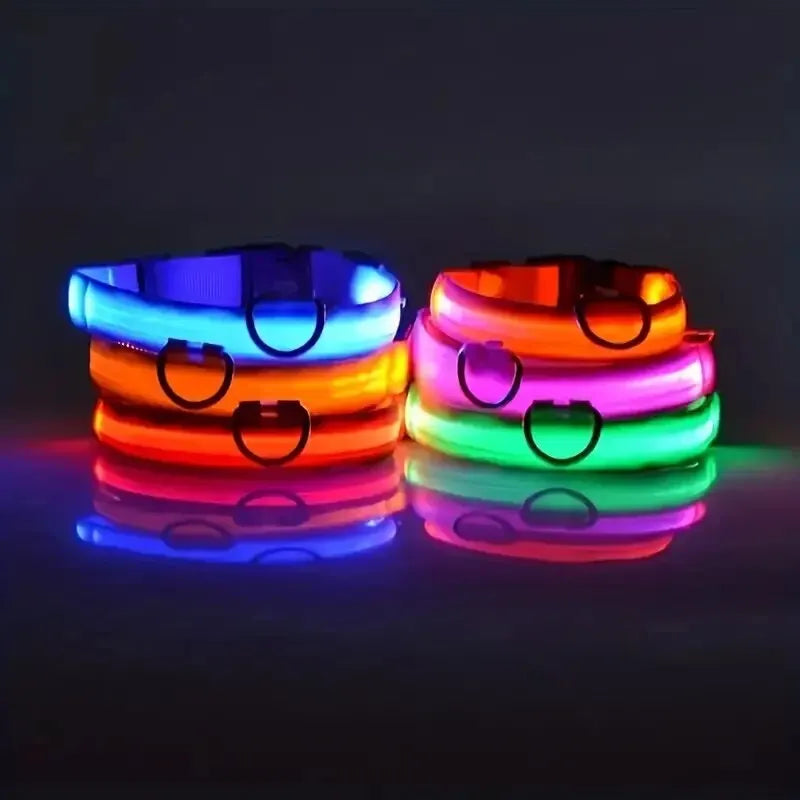 LED Night Safety Dog Leash