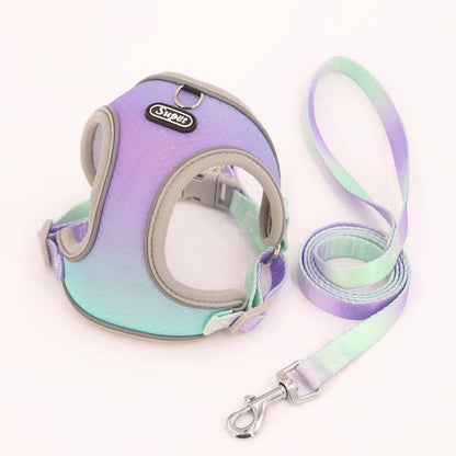 Reflective Comfort Harness Colorfull