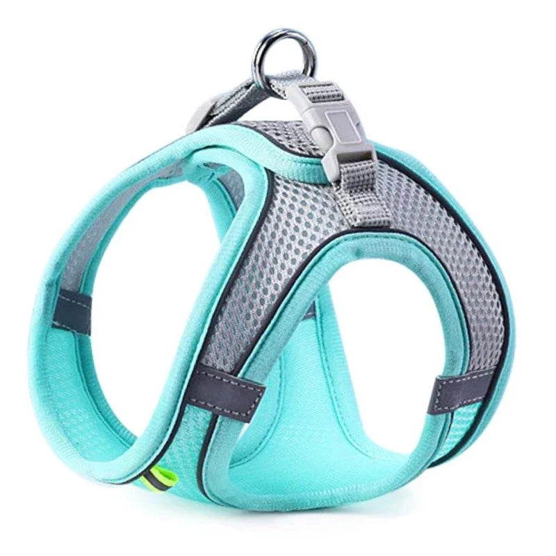Reflective Comfort Harness