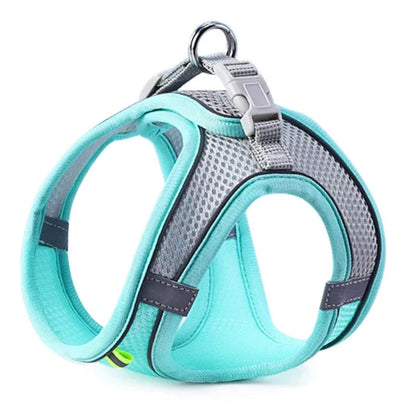 Reflective Comfort Harness
