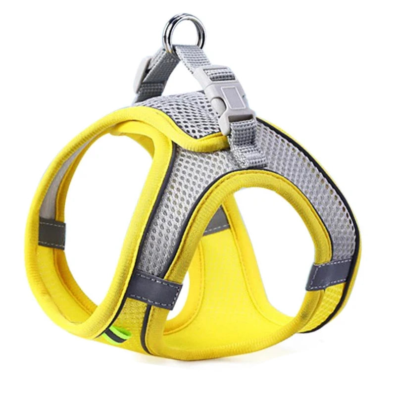 Reflective Comfort Harness