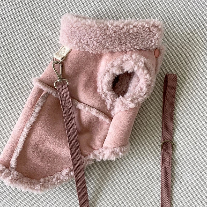Cozy Teddy Dog Coat