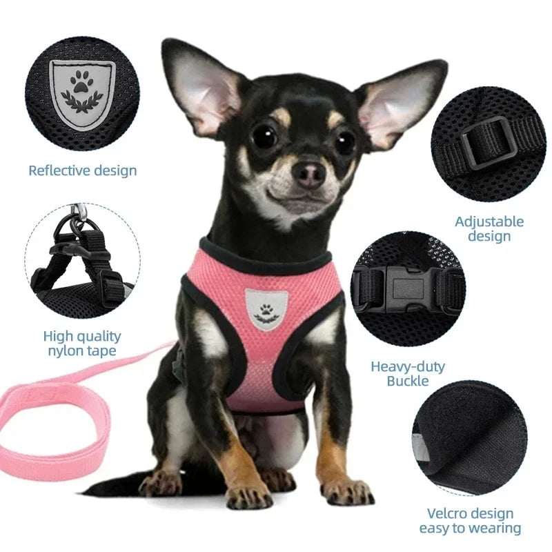 Comfy Mesh Pet Harness