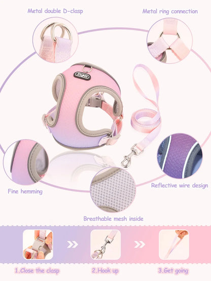 Reflective Comfort Harness Colorfull