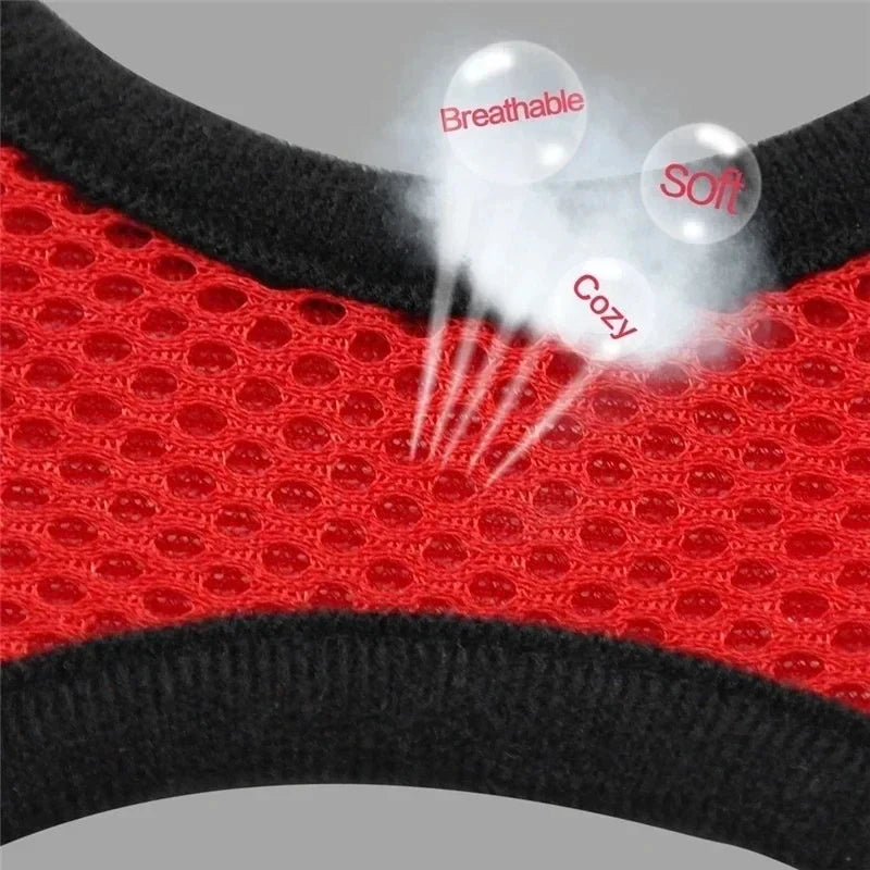 Comfy Mesh Pet Harness