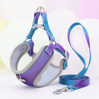 Reflective Comfort Harness Colorfull