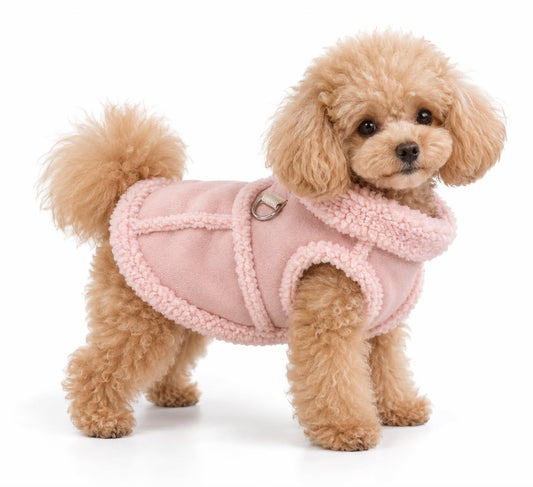 Cozy Teddy Dog Coat