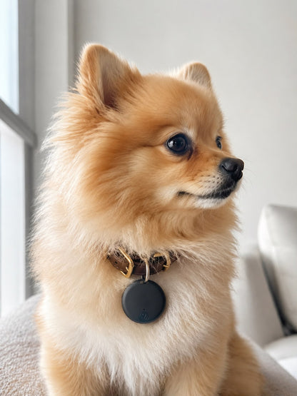 Mini Bluetooth GPS Tracker