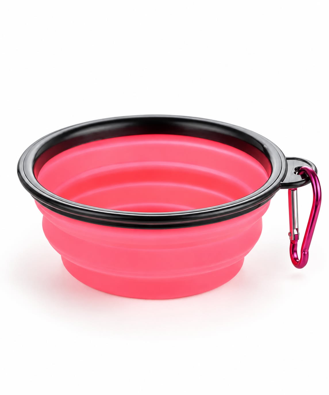Collapsible Pet Bowl