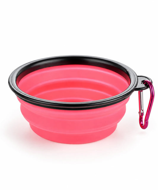 Collapsible Pet Bowl