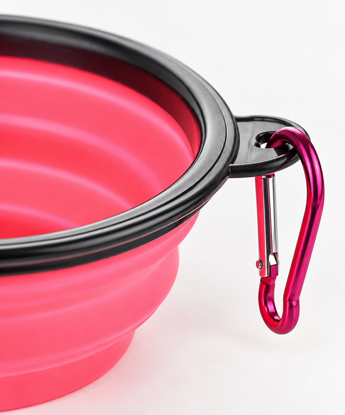 Collapsible Pet Bowl