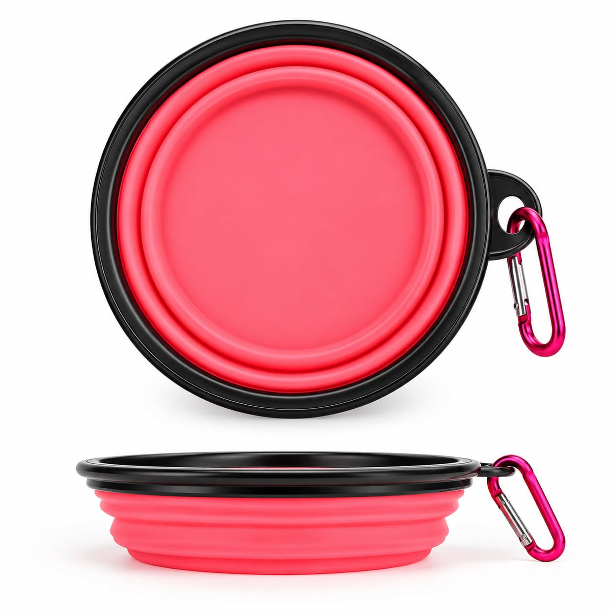 Collapsible Pet Bowl