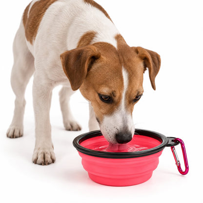 Collapsible Pet Bowl