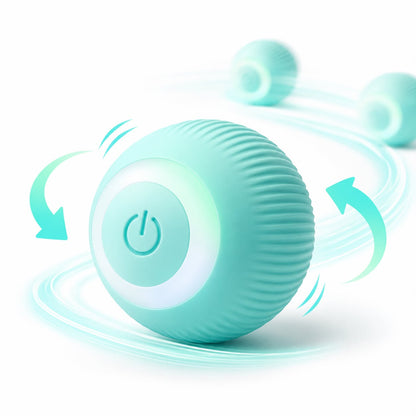 Interactive Rolling Cat Ball