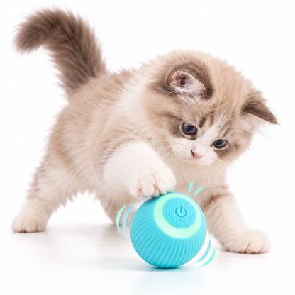 Interactive Rolling Cat Ball