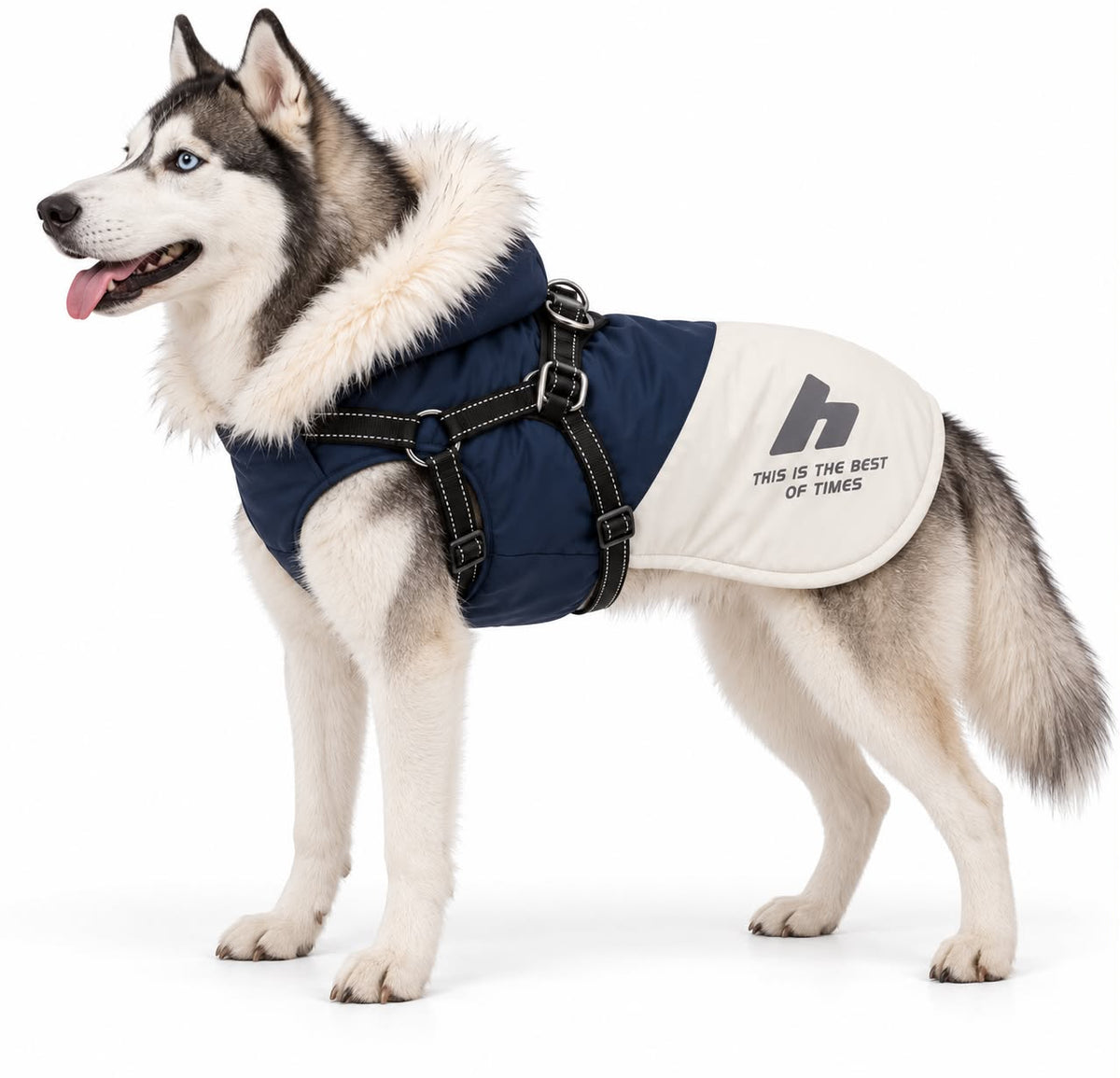 New Pet Dog Winter Warm Coat