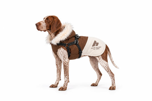 New Pet Dog Winter Warm Coat