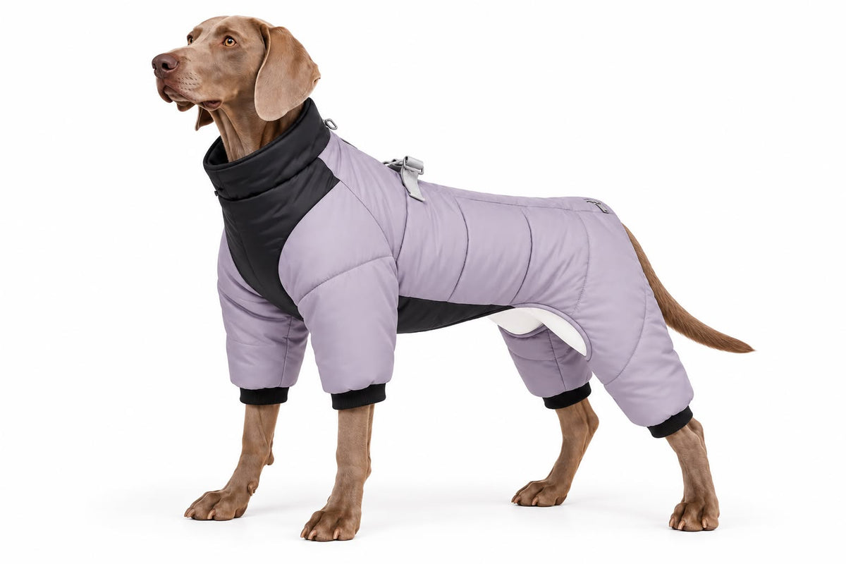 Waterproof Dog Jumpsuit Coat Winter