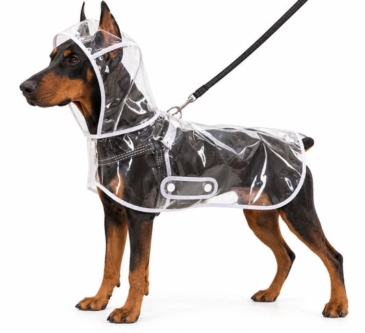 Transparent Waterproof Dog Raincoat
