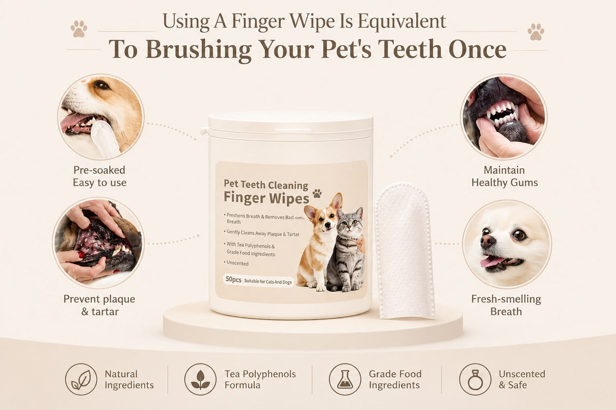 Pet Finger Dental Wipes