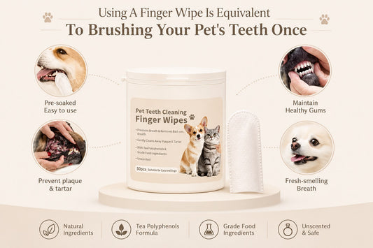 Pet Finger Dental Wipes
