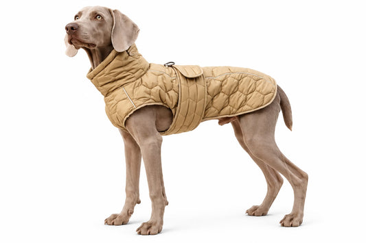 Winter Windproof Warm Dog Jacket