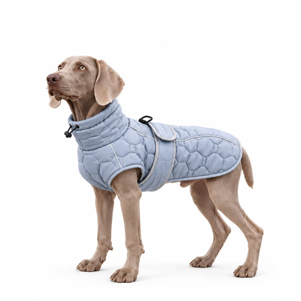 Warme, winddichte Winterjacke für Hunde
