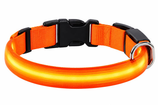 LED Night Safety Dog Leash