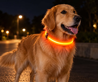 LED-Nachtsicherheits-Hundeleine