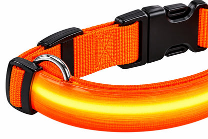 LED-Nachtsicherheits-Hundeleine