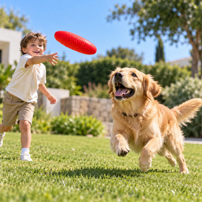 Interactive Flying Disc Dog Toy