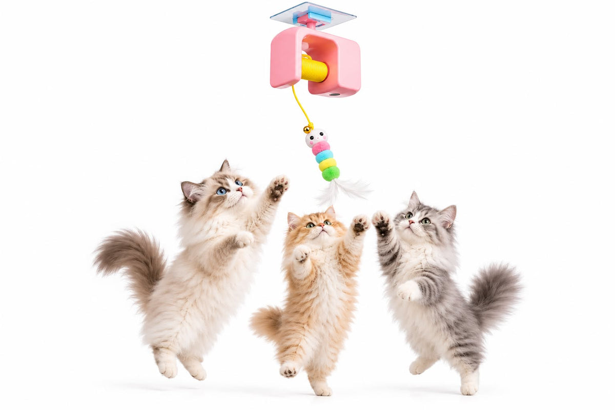 Flying Bird Cat Toy