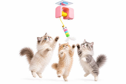 Flying Bird Cat Toy