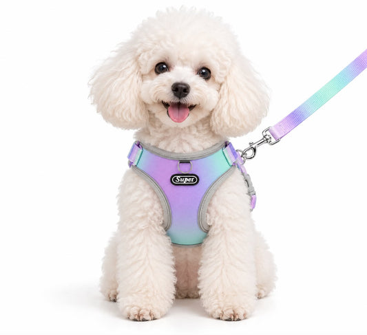 Reflective Comfort Harness Colorfull