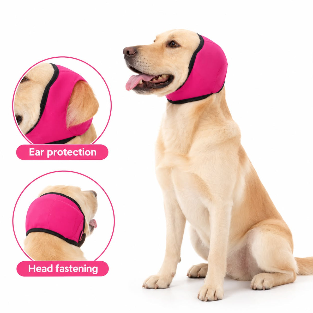 Hörschutz für Hunde, wasserdicht