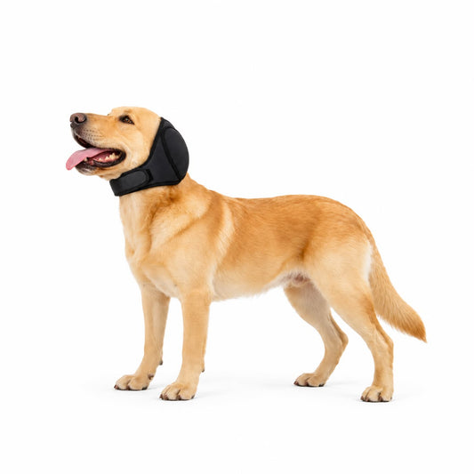 Hearing Protection Dog Waterproof