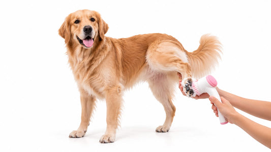 Pet Paw Cleaning Brush